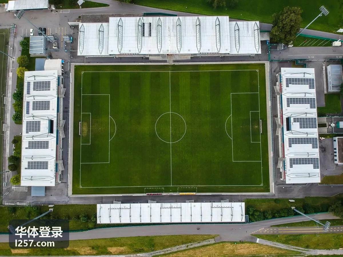 华体登录会员等级与权益开通页面的等级差异示意