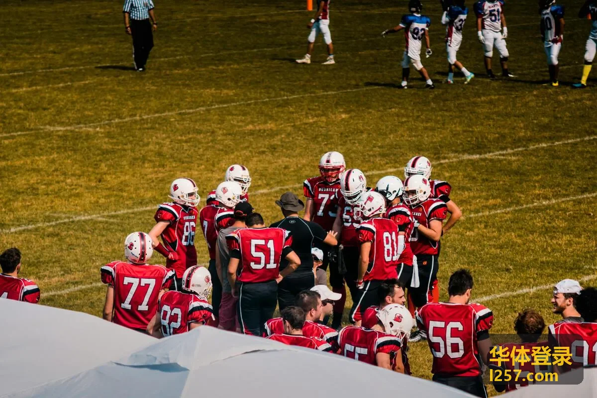 华体登录实时技术统计面板