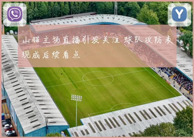 山猫主场直播引发关注 球队攻防表现成后续看点