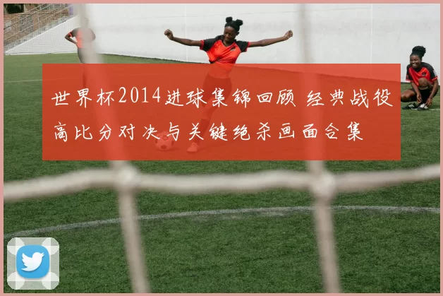 世界杯2014进球集锦回顾 经典战役高比分对决与关键绝杀画面合集