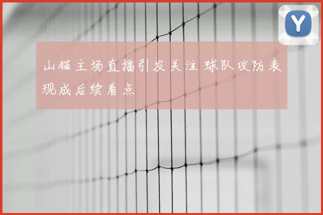 山猫主场直播引发关注 球队攻防表现成后续看点