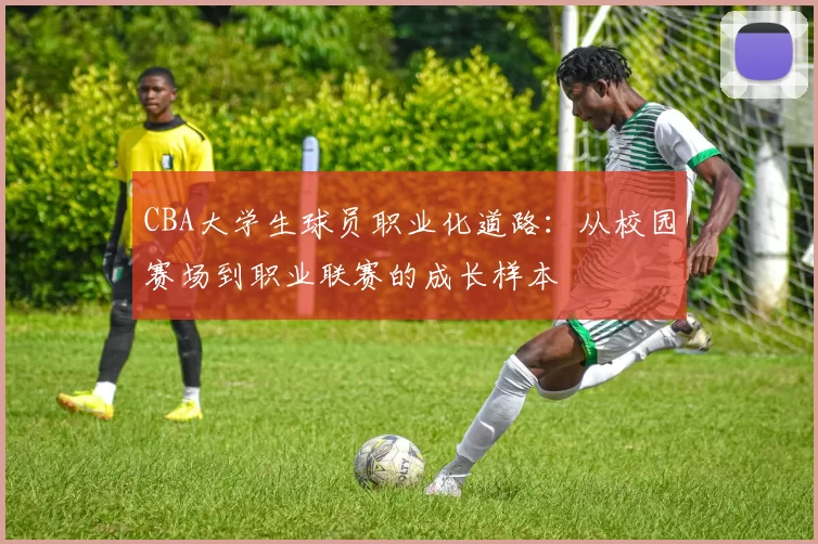 CBA大学生球员职业化道路：从校园赛场到职业联赛的成长样本