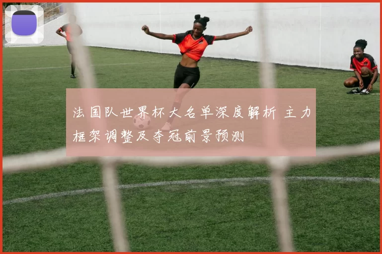 法国队世界杯大名单深度解析 主力框架调整及夺冠前景预测