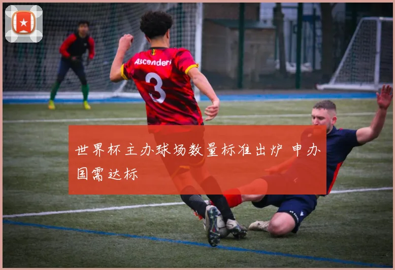 世界杯主办球场数量标准出炉 申办国需达标