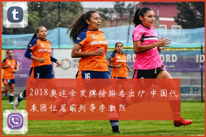 2018奥运会奖牌榜排名出炉 中国代表团位居前列争夺激烈