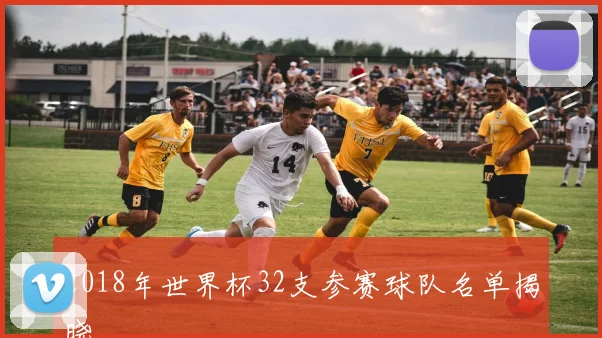 2018年世界杯32支参赛球队名单揭晓