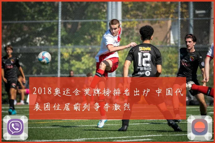 2018奥运会奖牌榜排名出炉 中国代表团位居前列争夺激烈
